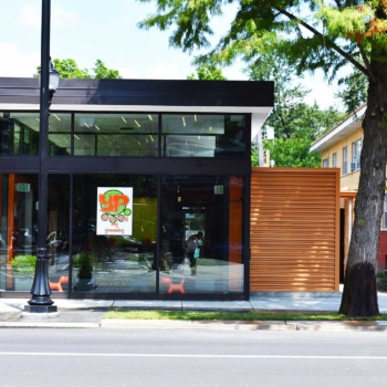 ASLLC-Multi-Level-Gallery-6